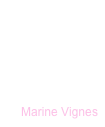 Marine Vignes